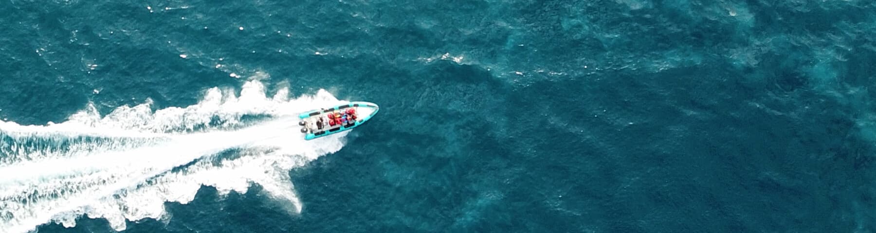 Yacht cutting through evening waters with skyline in the background